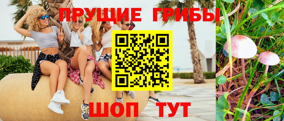 Галлюциногенные грибы GOLDEN TEACHER  Вход с VPN  Комсомольск-на-Амуре  Псилоцибиновые грибы GOLDEN TEACHER 